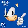 Picture for song 'Sonic (Puzzle Reupload)' by artist 'Rody Jax'