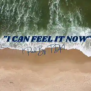 Picture for song 'I CAN FEEL IT NOW (ISLAND VIBE) R&B (GOOD VIBES)' by artist 'TDK'