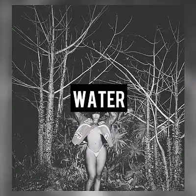 Picture for song 'Water - Sexy Drill Type Beat' by artist 'Black Hawk'