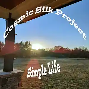 Picture for song 'Simple Life' by artist 'Cosmic Silk Project'