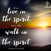 Picture for song 'In The Spirit is Where I'll Stay' by artist 'CHRISTIAM DISCIPLE'