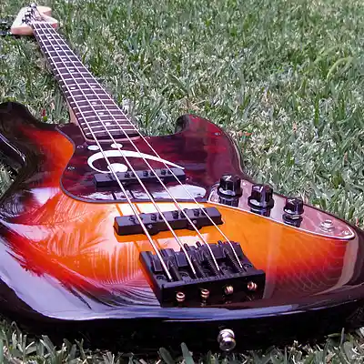 Picture for song 'Parallel Universe' by artist 'Homoerectus (AUS)'