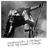 Picture for song 'Dancing Like a Stripper (SOLD)' by artist 'Jamal x Ganja'