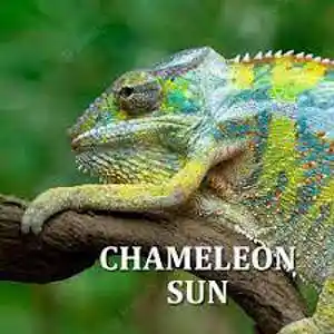 Picture for song 'Chameleon Sun' by artist 'Johanna Renfro'