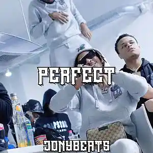 Picture for song 'PERFECT- YOUNG ADZ X DIRTBIKE LB TYPE BEAT' by artist 'jonyonthebeat'