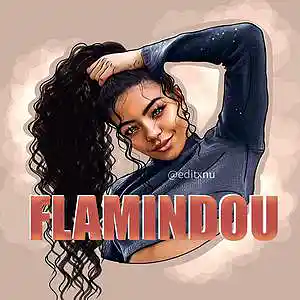 Picture for song 'Flamindou' by artist 'MEKKA Trackz'