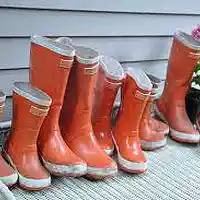 Picture for song 'Nantucket Hump Day: Queso' by artist 'paul gorman and the hypnotist collectors'