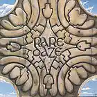 Picture for song 'In The Shadows' by artist 'Rare Daze'