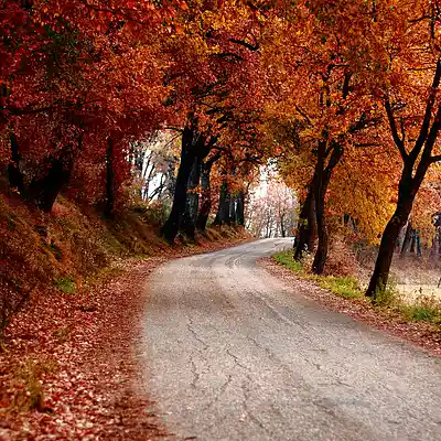 Picture for song 'Red D. Road 2019' by artist 's9undV1ZNZ K 0 D 3 7'