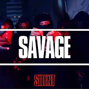 Picture for song '"Savage" Dark Drill Type Beat' by artist 'Silent The Producer'