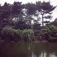 Picture for song 'OL SOMETHING ELSE' by artist 'SlickDidit'