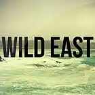 Picture for song 'Wild East' by artist 'Sylvester Beats'