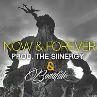 Picture for song 'Now & Forever * Orchestral * FREE DL' by artist 'The Siinergy'