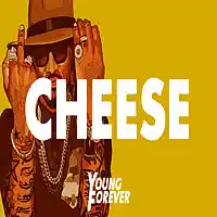 Picture for song 'Cheese (Prod. By Young Forever Beats)' by artist 'Young Forever Beats'