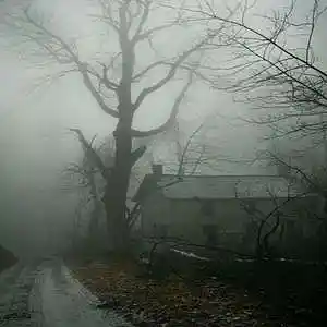 Picture for song 'Ghost In Red' by artist 'Alexander Jenkins'