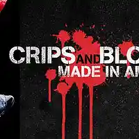 Picture for song 'AlixInstr Prod. - Crips and Bloodz.' by artist 'AlixInstr Productions.'