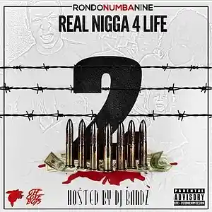 Picture for song 'Rondonumbanine Type Beat - RN4L' by artist 'BasicHaddock4'