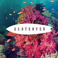 Picture for song 'Color + Hook (SOLD)' by artist 'BeatsbySV'