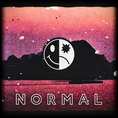 Picture for song '" N O R M A L "' by artist 'B L A C K W 3 L L'
