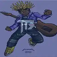 Picture for song 'I Dont Really Care' by artist 'Callmetag215Beats'