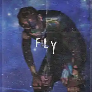 Picture for song 'fly 128bpm' by artist 'carlosmadeit.'