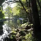 Picture for song 'You Could Never Change' by artist 'David Butler'