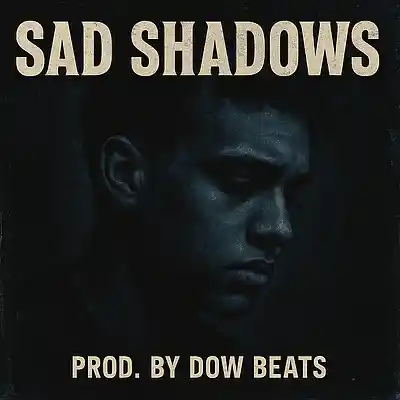 Picture for song 'Sad Shadows' by artist 'Dow Beats'