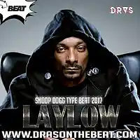 Picture for song 'LayLow' by artist 'Dras On The Beat'