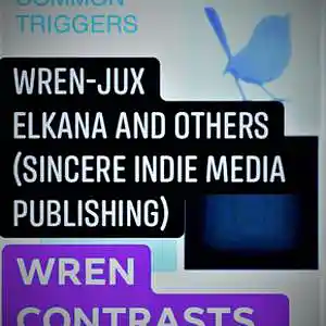 Picture for song 'WREN-JUX IMPROV ONE' by artist 'FEARLESS HATEFUL SCHOLAR'