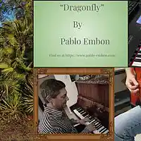 Picture for song 'Dragonfly' by artist 'Pablo Embon'