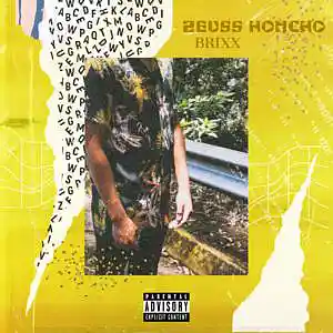 Picture for song 'Brixx' by artist 'Zeuss Honcho'