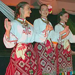 Picture for song 'Graovsko' by artist 'Christian Faivre'