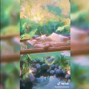 Picture for song 'BOOTY CALL (BUY 1 GET 4 FREE)' by artist 'DreamBigRecords'