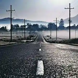 Picture for song 'PAVED IN GOLD' by artist 'HOSSGANG'