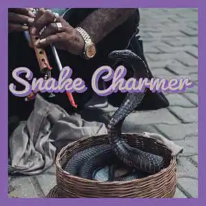 Picture for song 'Snake Charmer' by artist 'Ken Sacco'