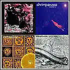 Picture for song 'Glissando Datanaozap' by artist 'Shrimpanzee (The Early Years)'