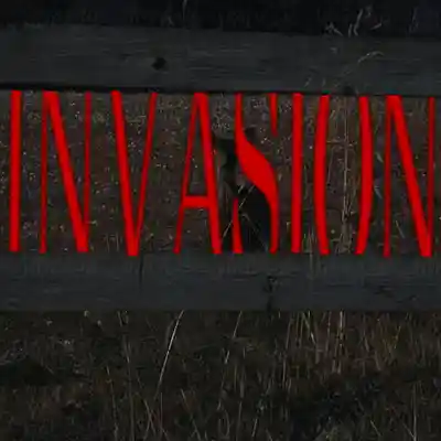 Picture for song 'free OPIUM Type Beat - "Invasion"' by artist 'Trisha Baby'