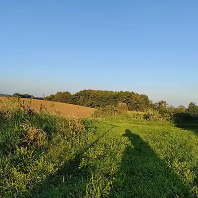 Picture for song '20240921_182131_sauber_FS_Y' by artist '786 scheint-Al'lahs Bande'