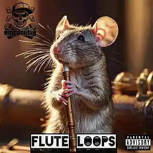 Picture for song 'Flute Loops' by artist 'emcdouble'