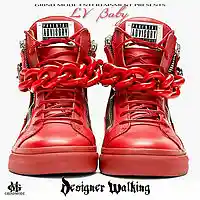 Picture for song 'DESIGNER WALK (dirty mixx)' by artist 'LV Baby'