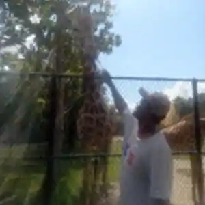 Picture for song 'It doesn't matter.mp3' by artist 'Ningadragonrecords'