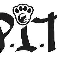 Picture for song 'P.I.T - The First' by artist 'P.I.T ZeroUm'