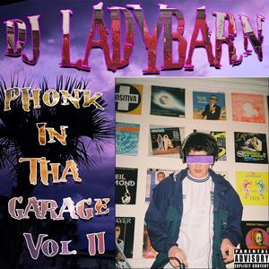 Picture for song 'Do You Have The Time?' by artist 'DJ Ladybarn'