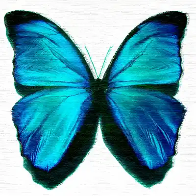 Picture for song 'When Birth and Death Collide (acoustic)' by artist 'Christopher Timothy Yarbrough'