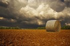 Picture for song 'Country jam' by artist 'Alex Williamson'