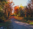 Picture for song 'MY DREAM' by artist 'ALPHA ONE OMEGA'