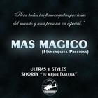 Picture for song 'Mas Magico Ft. Shorty (Prod. Styles "El Cambio")' by artist 'Apache Records'
