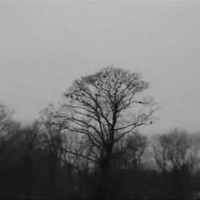 Picture for song 'I Need Some Sleep Prod by Axis Beats 161.364 bpm' by artist 'Axis Beats (US)'