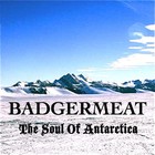 Picture for song 'inorganic post-biometric disomy' by artist 'BADGERMEAT'