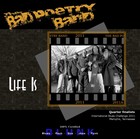 Picture for song 'Blues for D' by artist 'Bad Poetry Band'